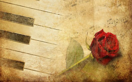 free bing desktop wallpaper music piano keys red rose